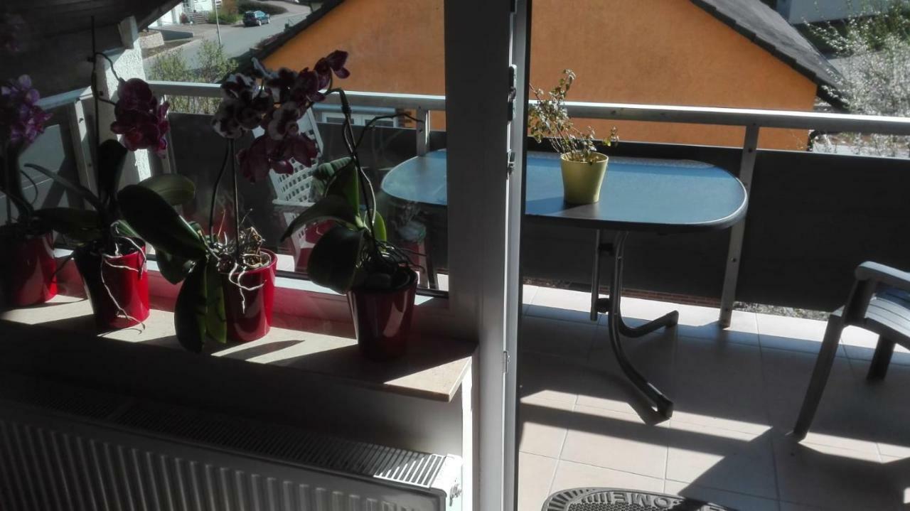 Obere Ferienwohnung Asshoff Zwischen Odenwald, Taubertal Und Bauland Berolzheim Esterno foto